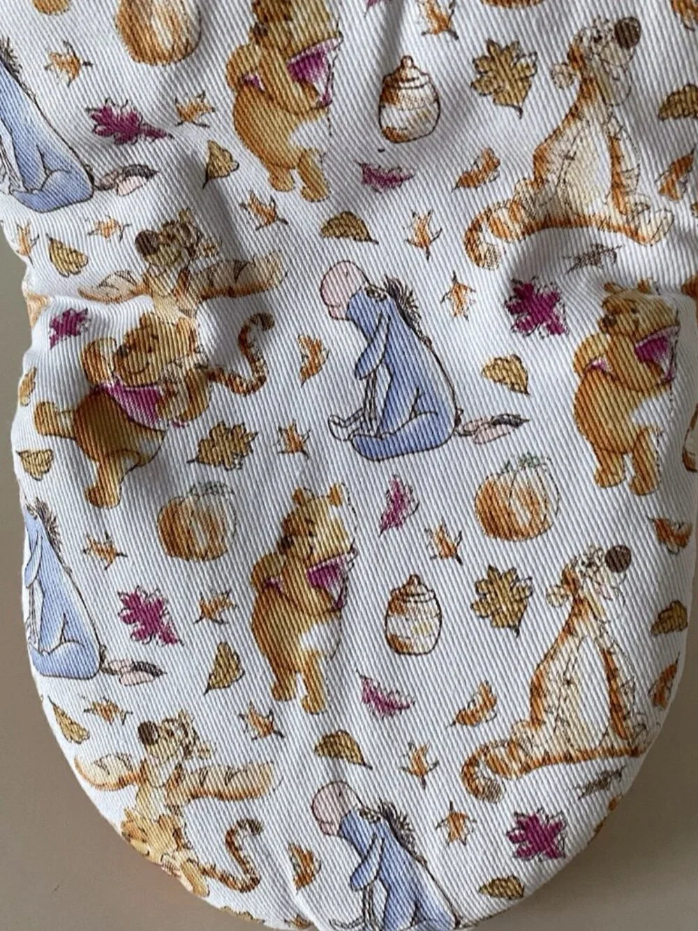 Disney pack winnie